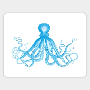 Octopus | Vintage Octopus | Tentacles | Sea Creatures | Nautical | Ocean | Sea | Beach | Turquoise Blue | Magnet